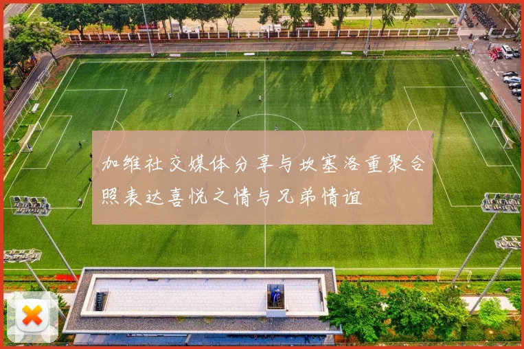 加维社交媒体分享与坎塞洛重聚合照表达喜悦之情与兄弟情谊