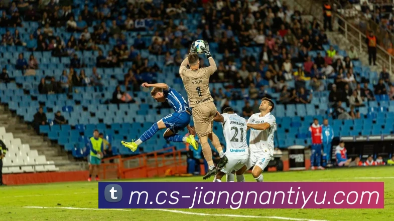 江南体育平台生态图