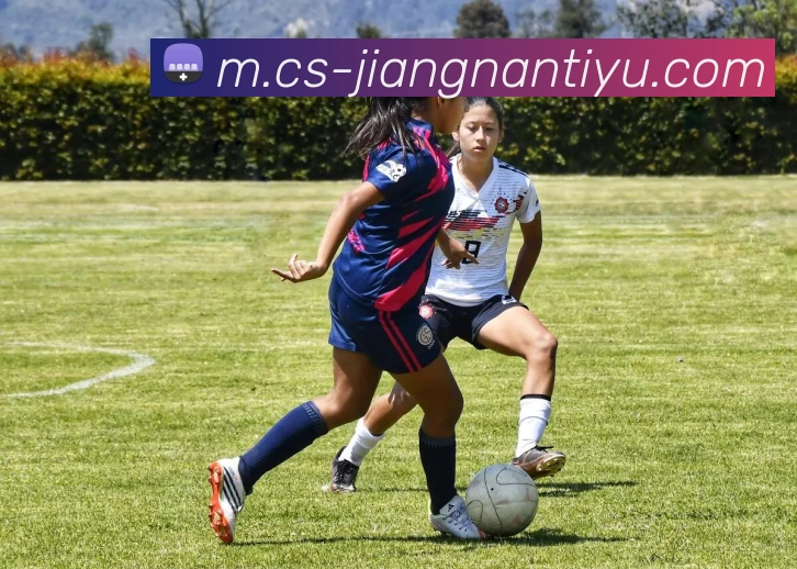 江南体育APP 封面图